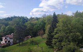 Ivka